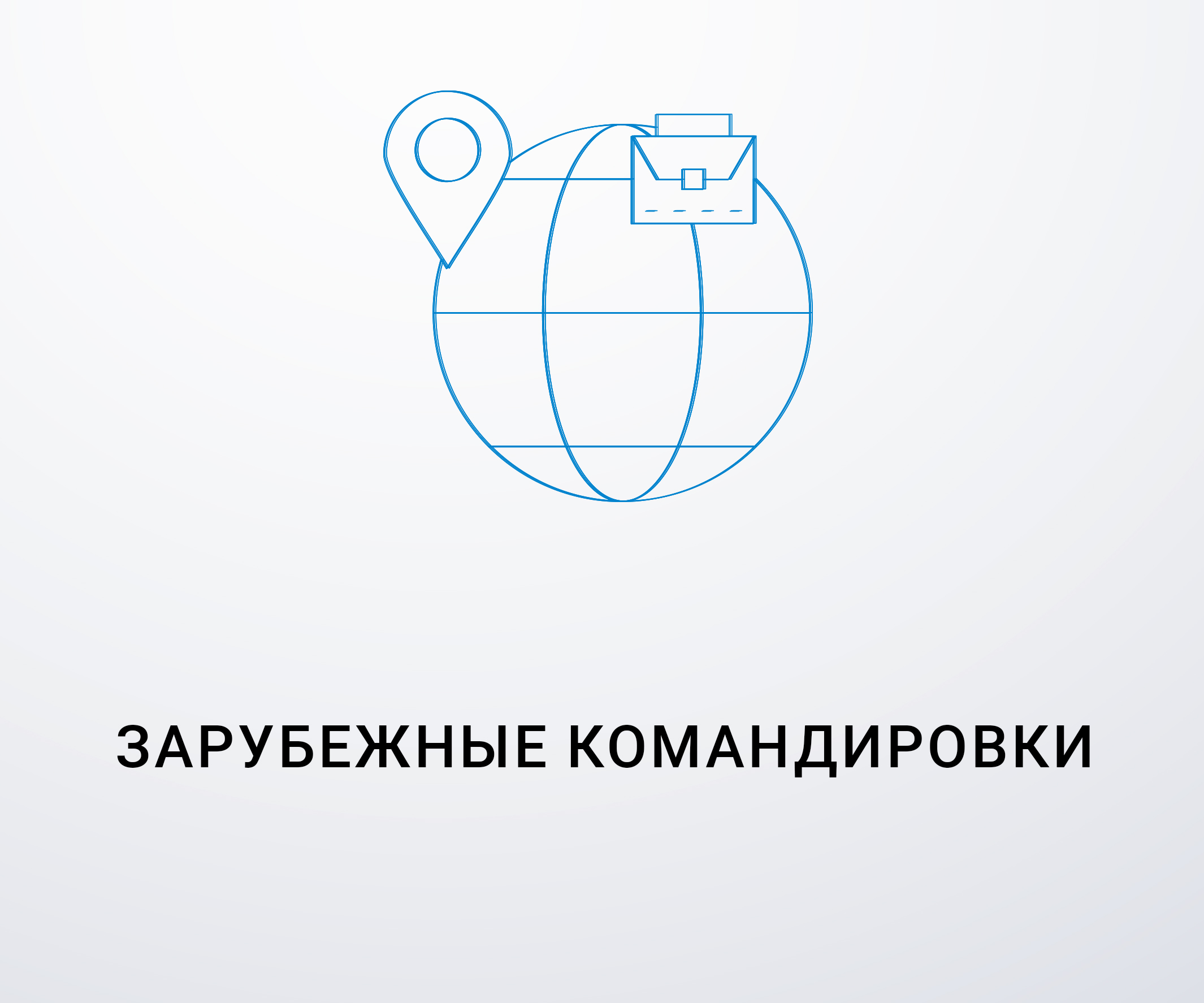 Сведения о командировках в зарубежные страны