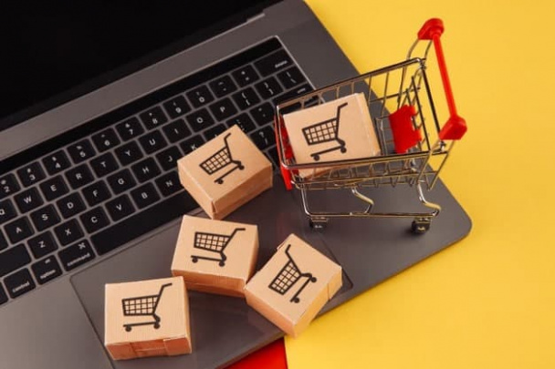 Violations Revealed on Public Procurement by the Technical School of Forestry of Tashkent District