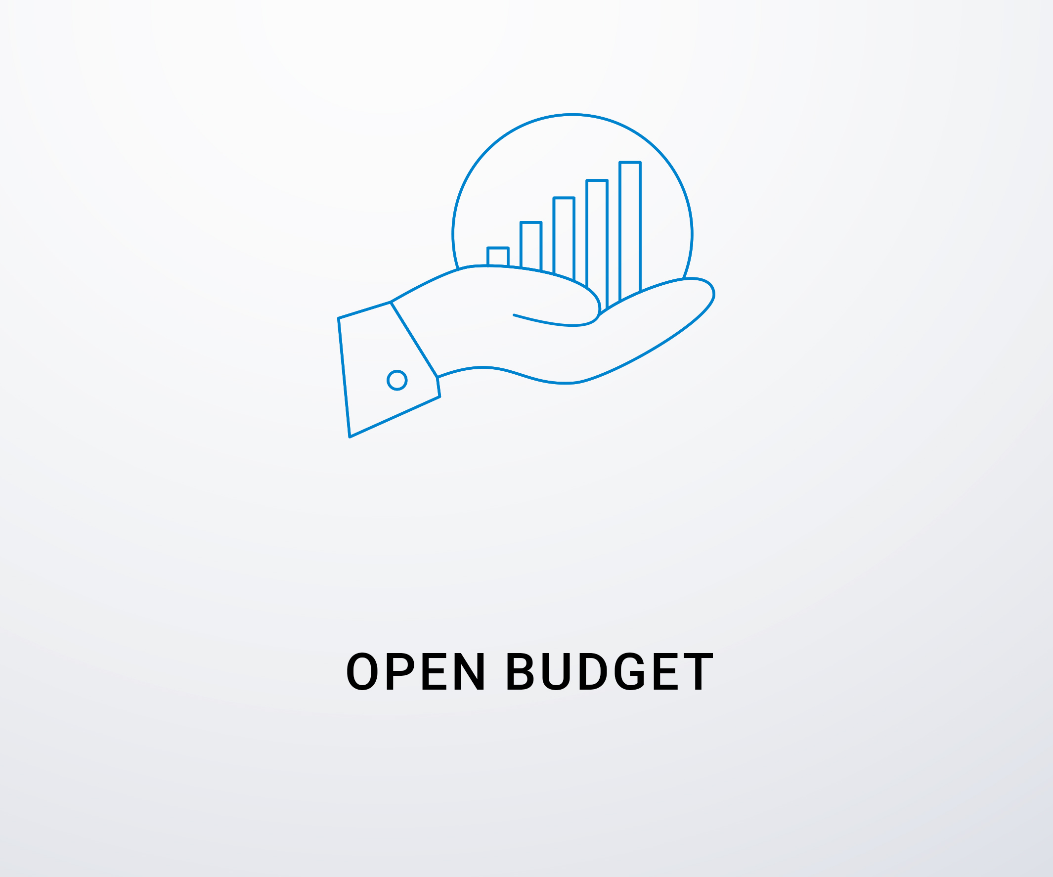 Open budget